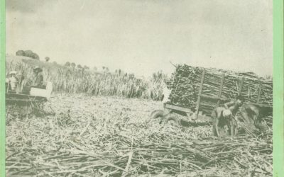 Revista do Fisco – Edição 025